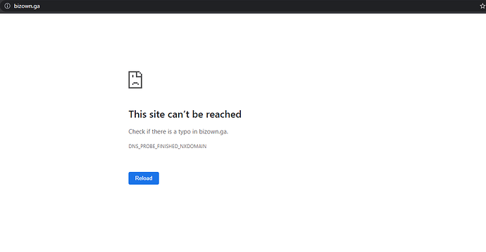 BIZOWN.GA